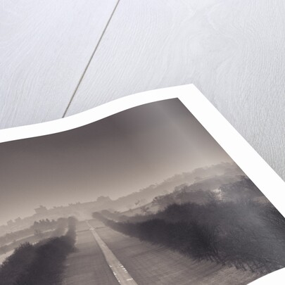 England, Berkshire, Aerial view of two people walking on long path with windsor castle in background by Assaf Frank